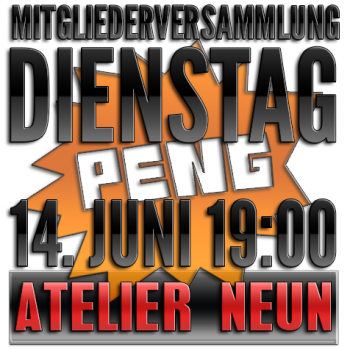 Mitgliederversammlung 2016